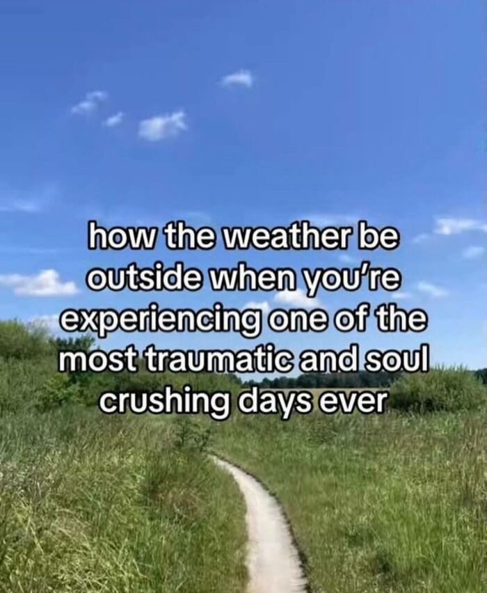 Relatable memes showing sunny nature trail with funny text about bad days.