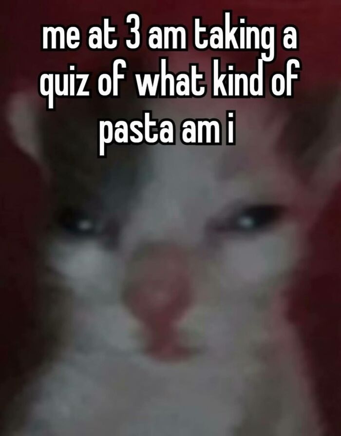 Relatable memes with funny text about taking online quizzes at 3 AM.