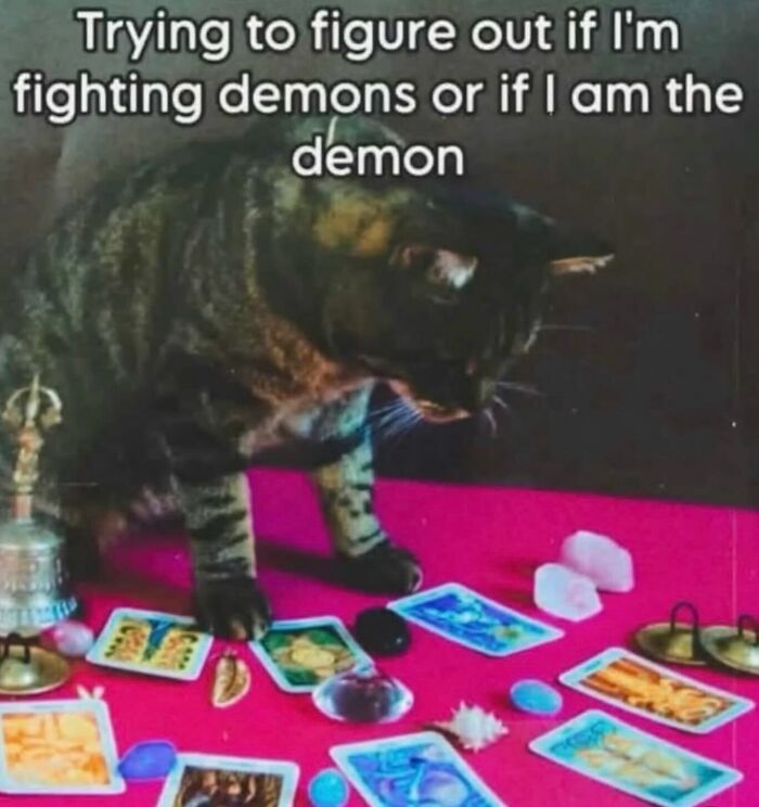 A tabby cat looking at tarot cards with relatable memes text about fighting demons.