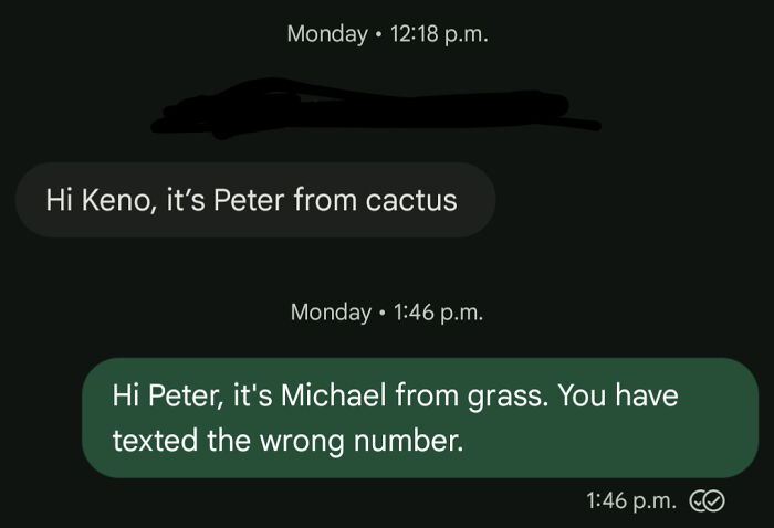 Witty reply to wrong number texts mentioning Peter from cactus and Michael from grass.