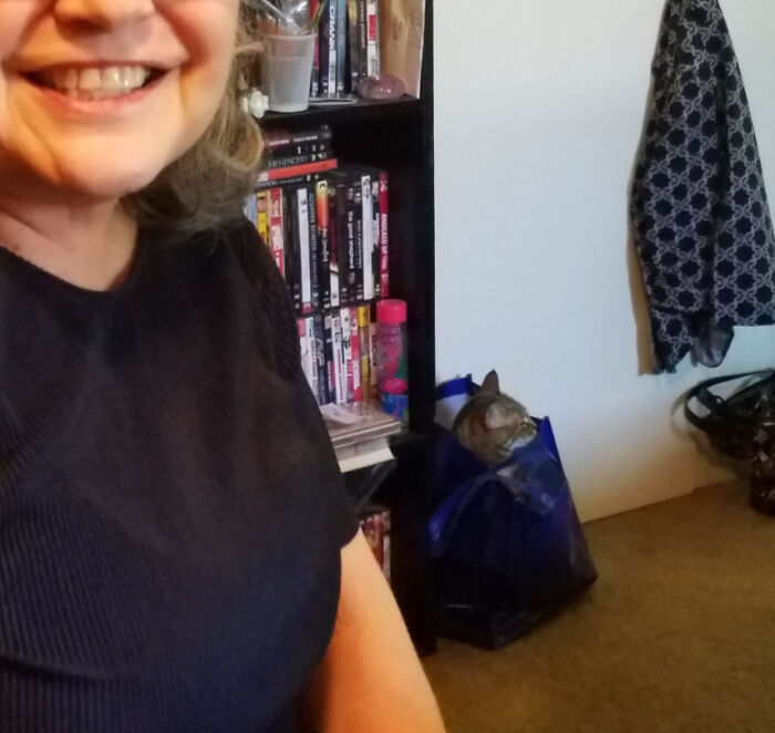 Cat hiding in a blue reusable shopping bag behind a smiling owner in hilarious cat crimes.