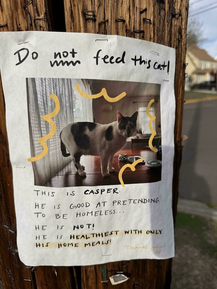 A sign warning people not to feed a cat named Casper, an example of funny cat crimes.