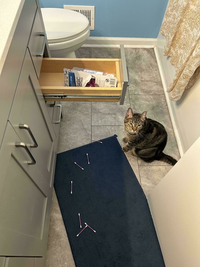 A tabby cat sitting next to spilled cotton swabs on a bathroom floor, committing cat crimes.
