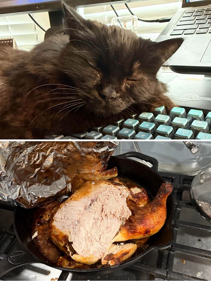 A black cat sleeping on a computer keyboard near a roasted chicken, illustrating funny cat crimes.
