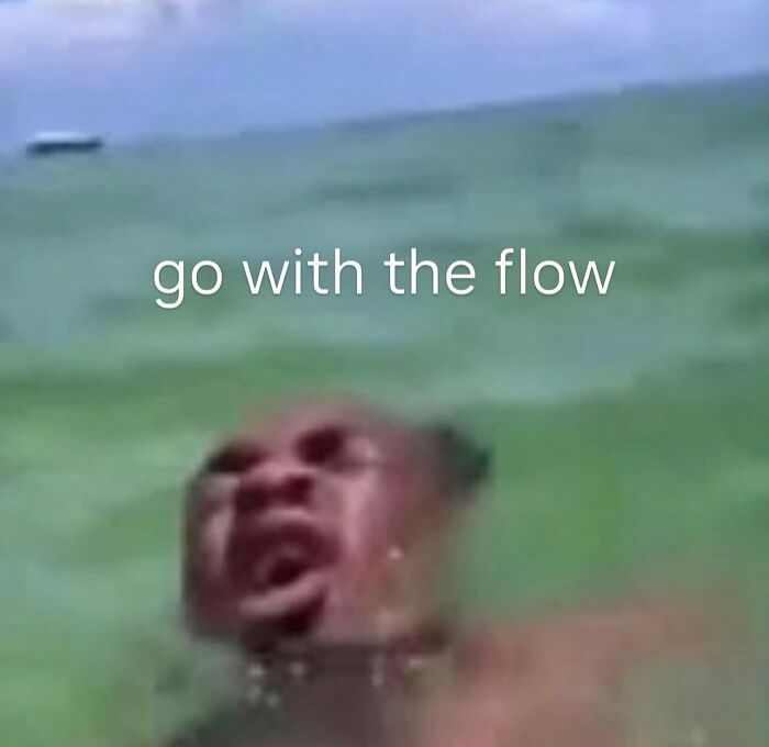 Relatable memes showing someone struggling in water with text go with the flow.