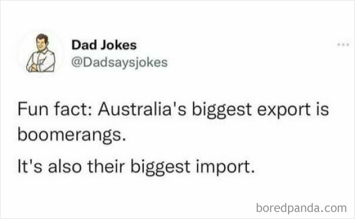 Wholesome memes tweet featuring a dad joke about Australia importing and exporting boomerangs.