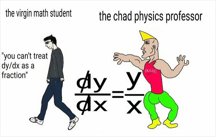 Meme comparing a math student and physics professor, representing amusing physics posts about calculus fractions.