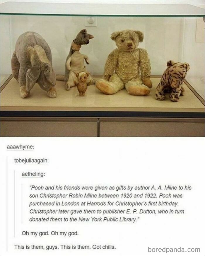 Original Winnie the Pooh stuffed toys displayed in a case, perfect for wholesome memes.