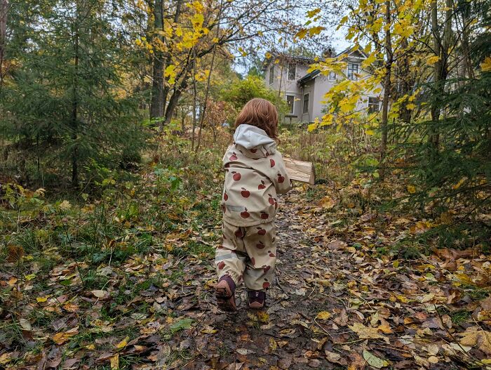 A toddler walking through autumn woods in wholesome pics of dads capturing sweet moments with kids