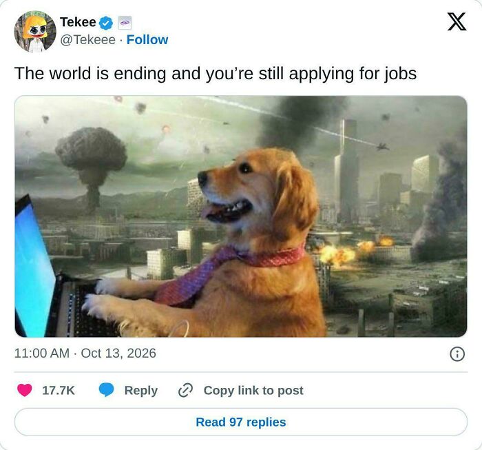 Meme of a dog in a tie using a laptop during an apocalypse, showing recruiting fails and funny job search pics.