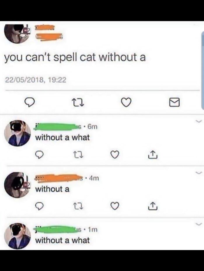Hilarious memes screenshot showing a text conversation repeating without a what after spelling cat.
