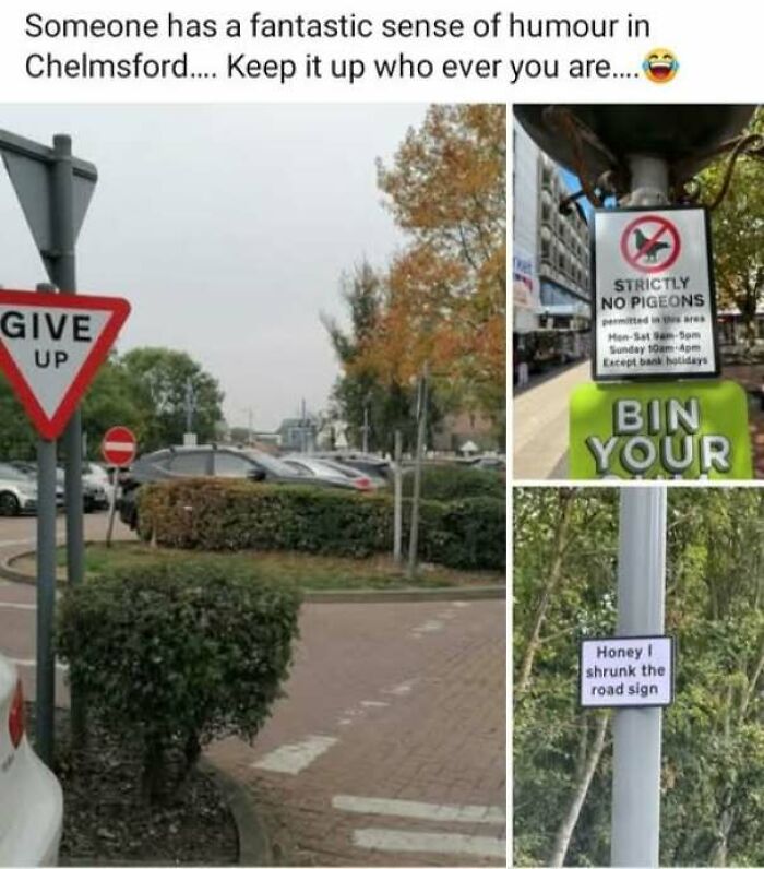 A collage showing funny street signs as part of hilarious ads and signs