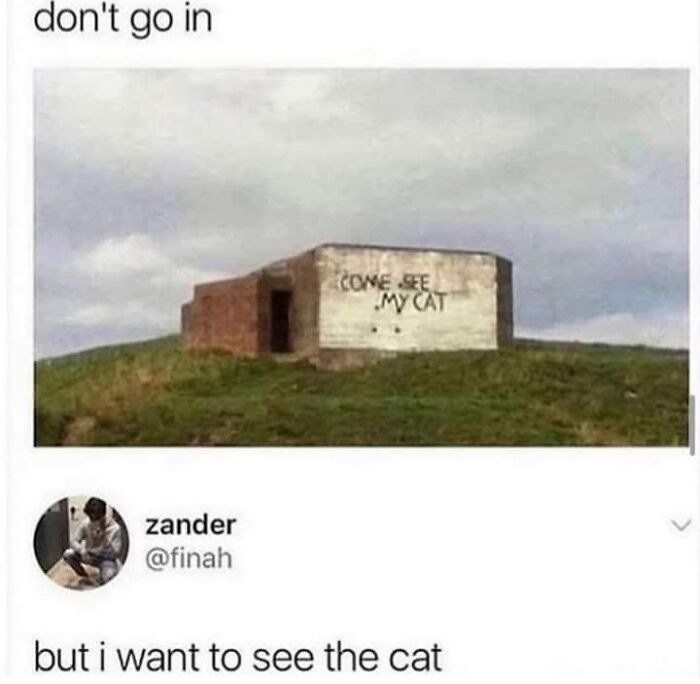 Funny memes about a bunker with graffiti reading Come See My Cat on a grassy hill.