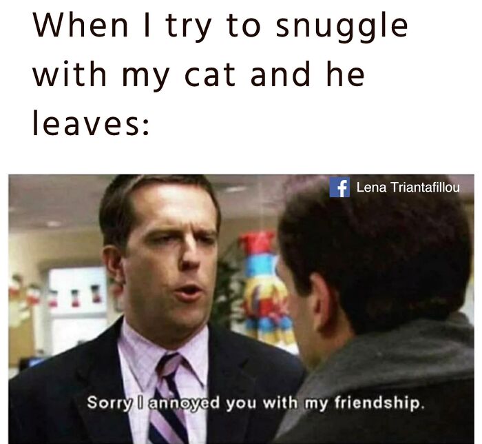Funny memes featuring Andy Bernard from The Office reacting to a cat leaving a cuddle.