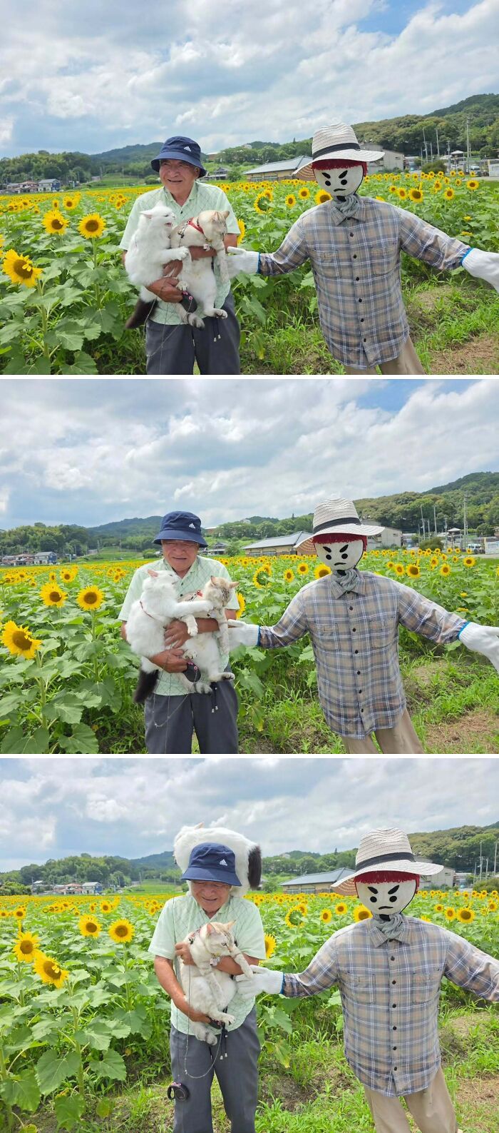 Japanese grandpa with cats posing near a scarecrow in a sunflower field photoshoot.