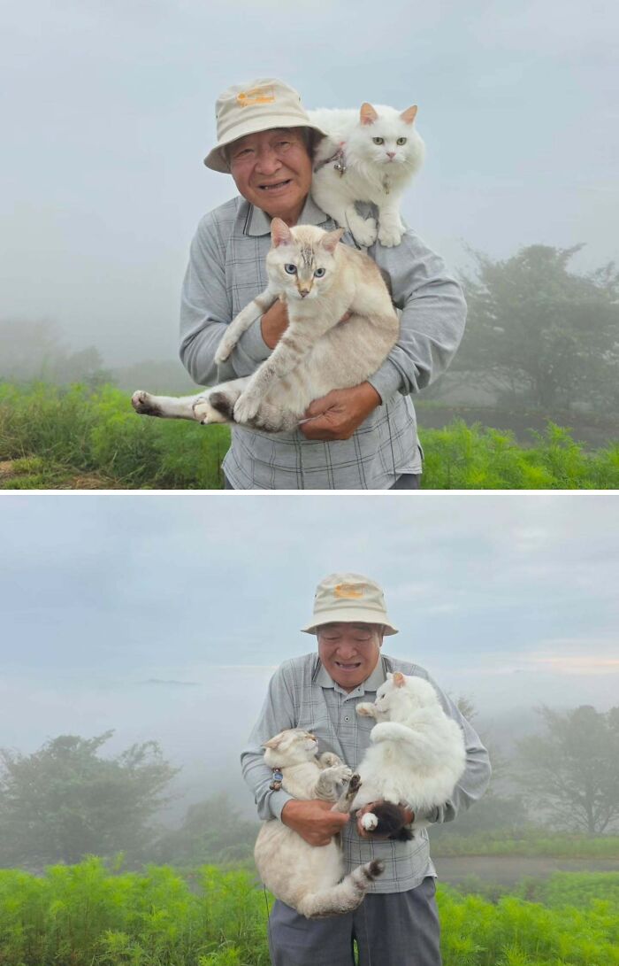 Japanese grandpa holding squirming cats in a foggy landscape photoshoot during a funny moment.