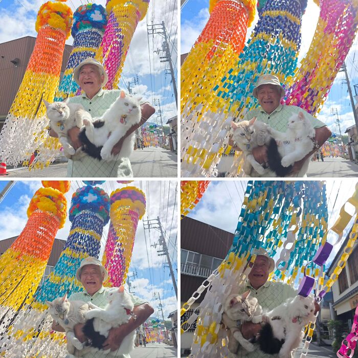 Japanese grandpa holding his fluffy pets under festive decorations during cute photoshoots with his cats.