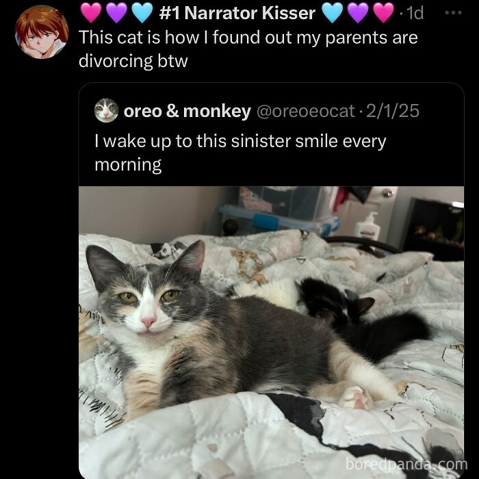 funny-out-of-context-posts