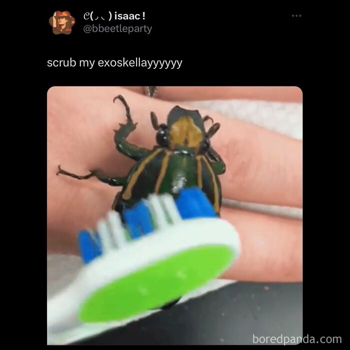 funny-out-of-context-posts