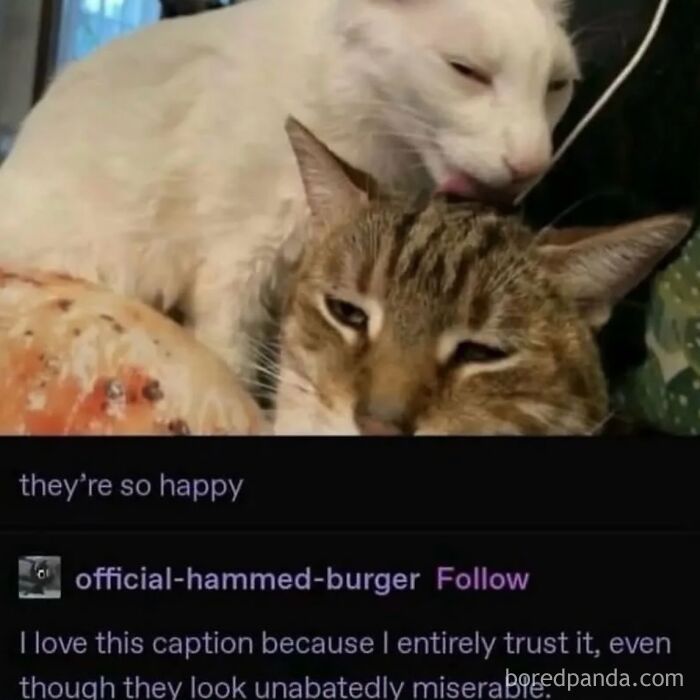 funny-out-of-context-posts