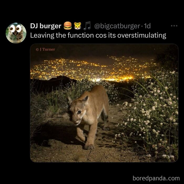 funny-out-of-context-posts