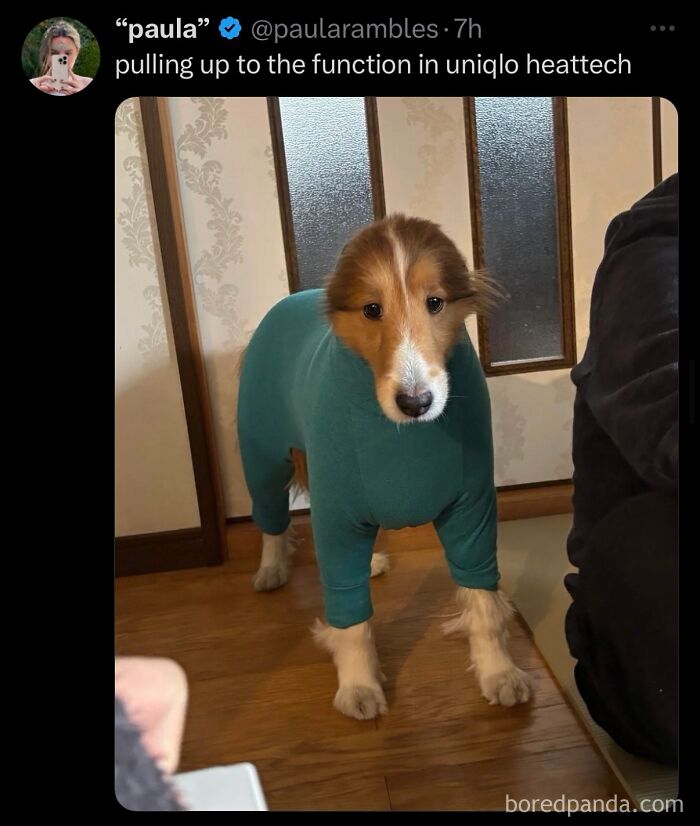 funny-out-of-context-posts