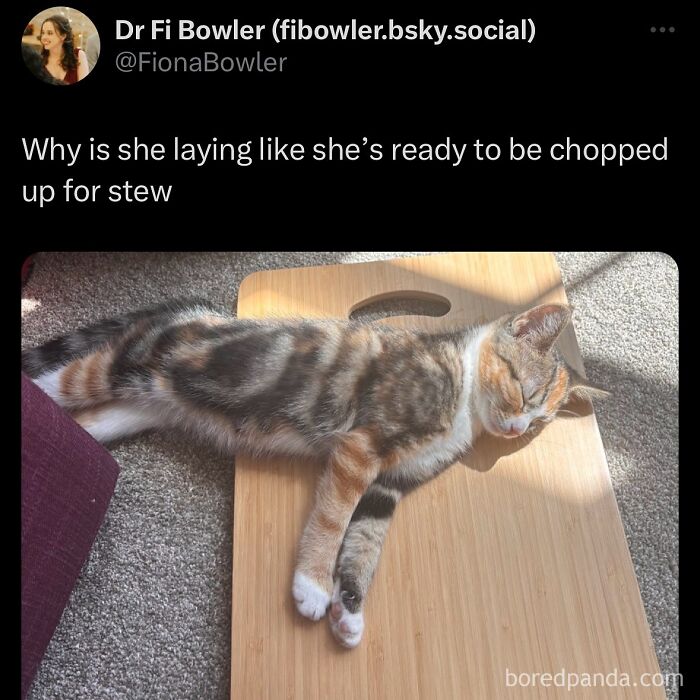 funny-out-of-context-posts