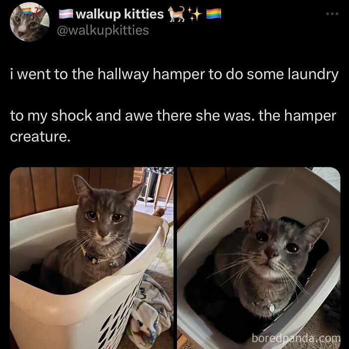 funny-out-of-context-posts