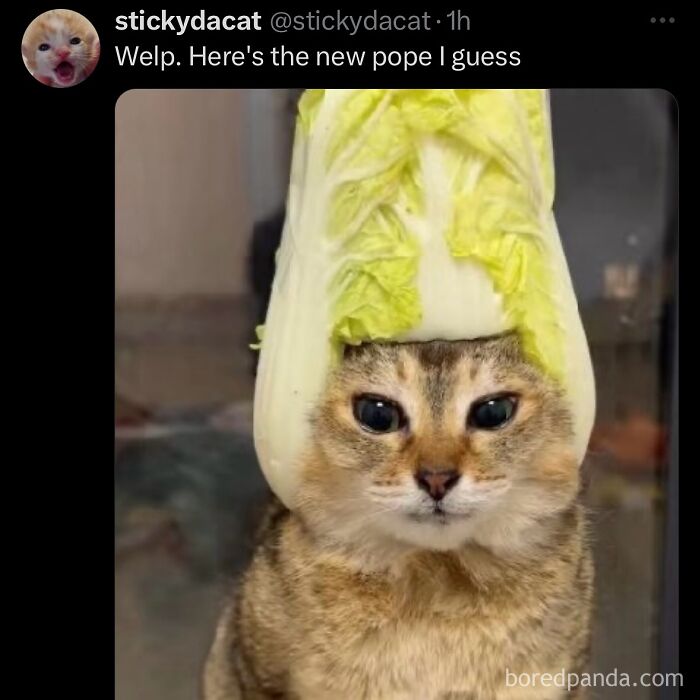funny-out-of-context-posts