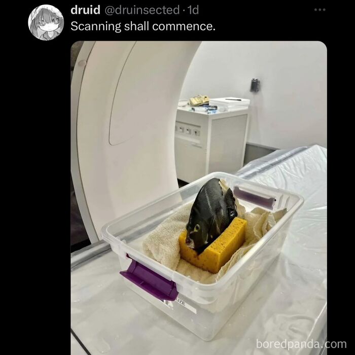 funny-out-of-context-posts