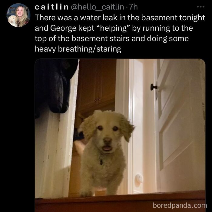 funny-out-of-context-posts
