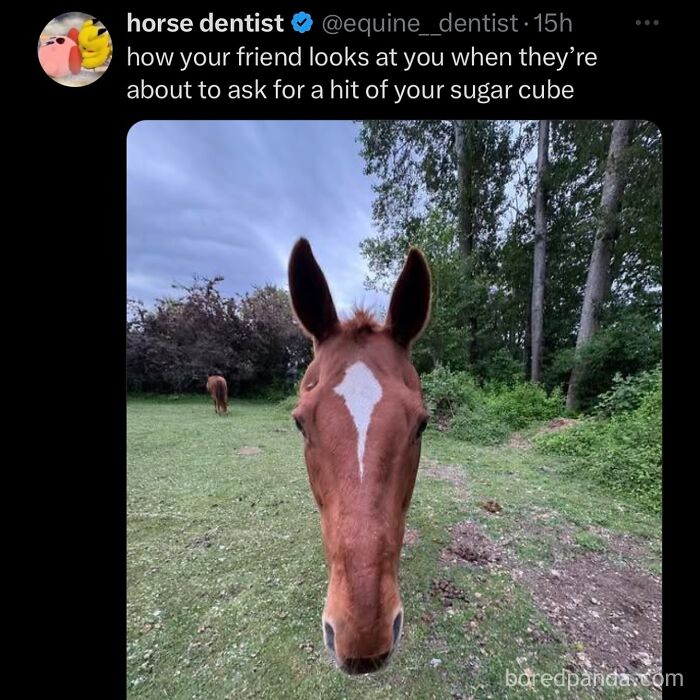 funny-out-of-context-posts