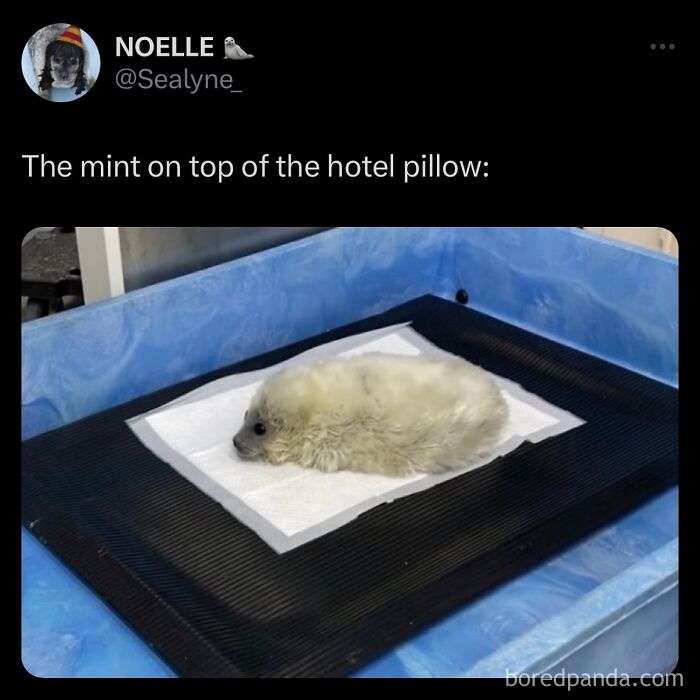 funny-out-of-context-posts