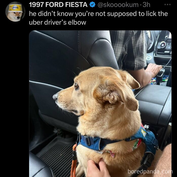 funny-out-of-context-posts