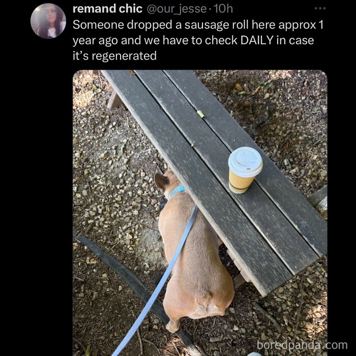 funny-out-of-context-posts