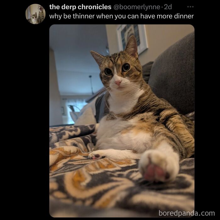 funny-out-of-context-posts