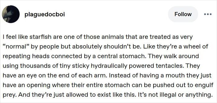 Funny and random posts from Tumblr about starfish biology.