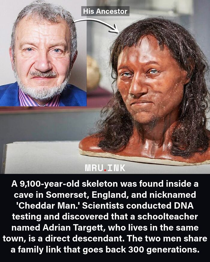 Side-by-side photo of Cheddar Man reconstruction and descendant, showcasing fascinating photos and facts.