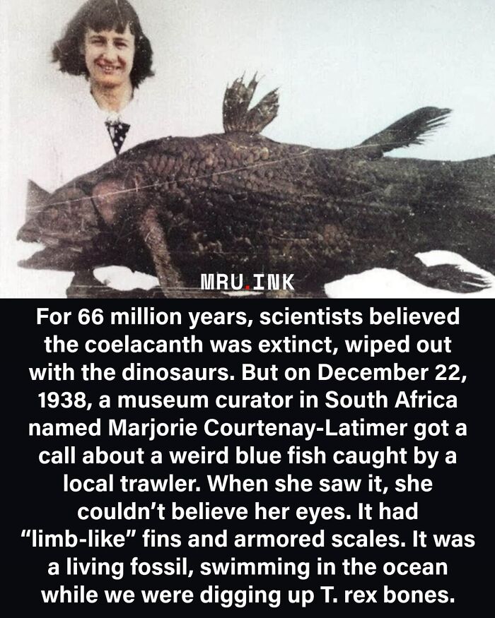 Historical photo of Marjorie Courtenay-Latimer with a coelacanth fish, showcasing fascinating photos and facts.