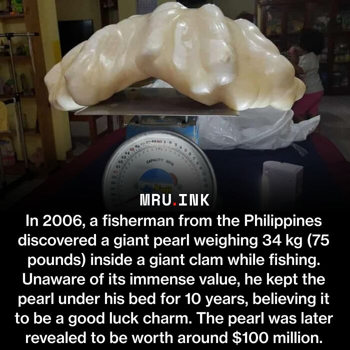 A giant pearl from the Philippines on a scale, showcasing strange photos and facts about the world