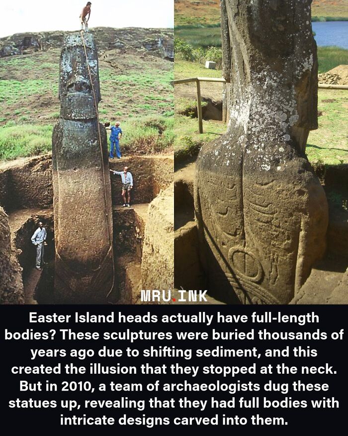 Archaeologists excavating a tall Easter Island statue, revealing fascinating photos and facts about ancient history.