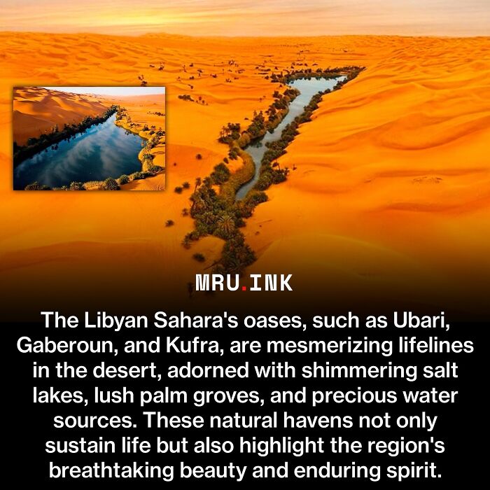 Aerial view of Libyan Sahara oasis surrounding salt lake showcasing fascinating photos and facts.