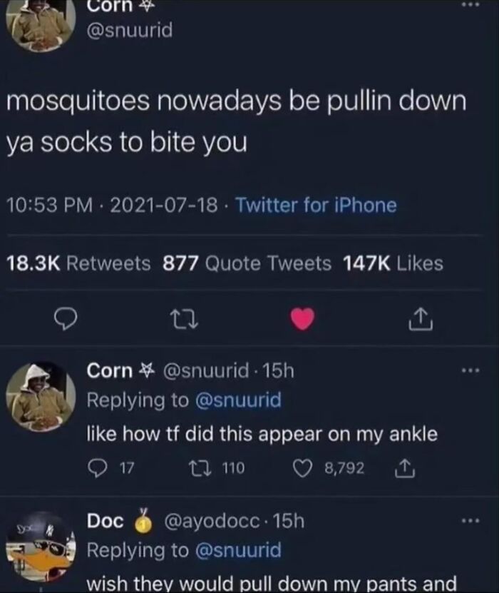 Humorous text screenshots featuring social media posts about mosquitoes biting under socks.
