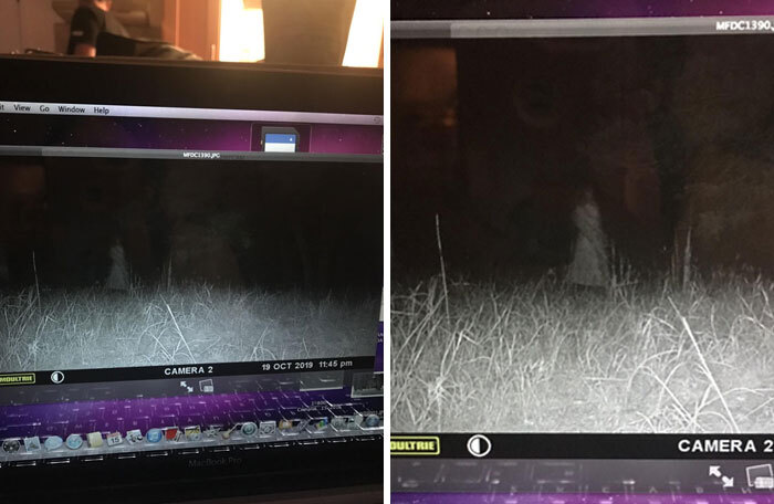 Night vision camera footage showing a mysterious figure in tall grass, eerie horror movie vibe.
