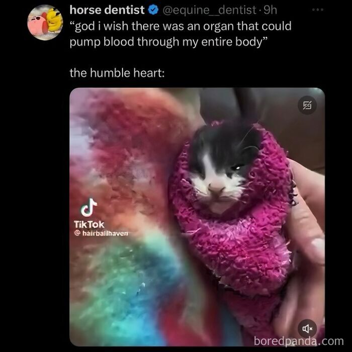 funny-out-of-context-posts
