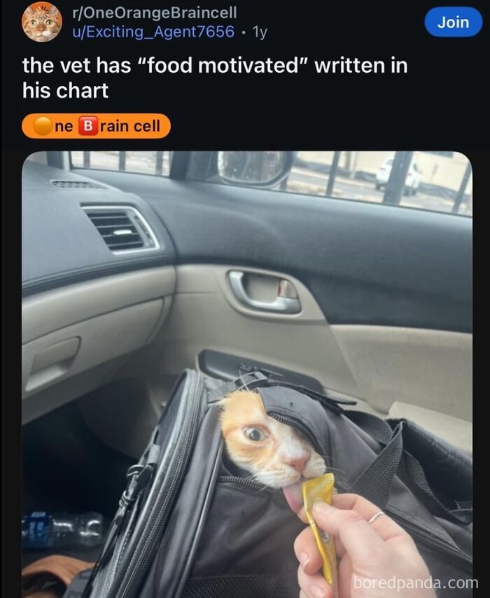 funny-out-of-context-posts