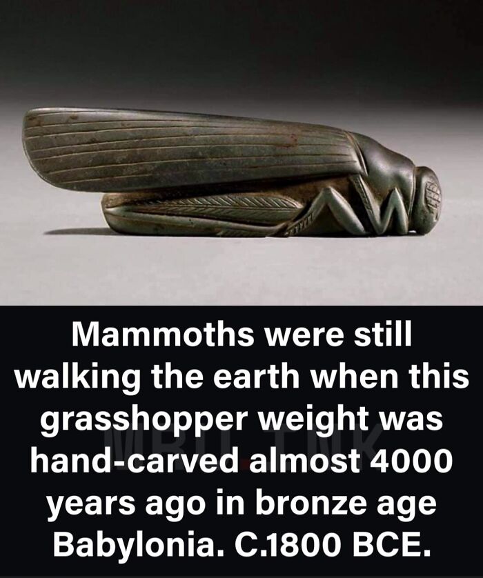 Ancient hand-carved grasshopper weight from Babylonia, highlighted in strange photos and facts from the past.