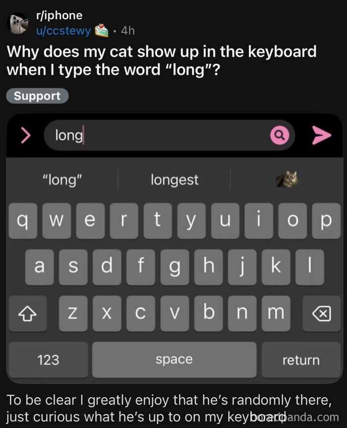 funny-out-of-context-posts
