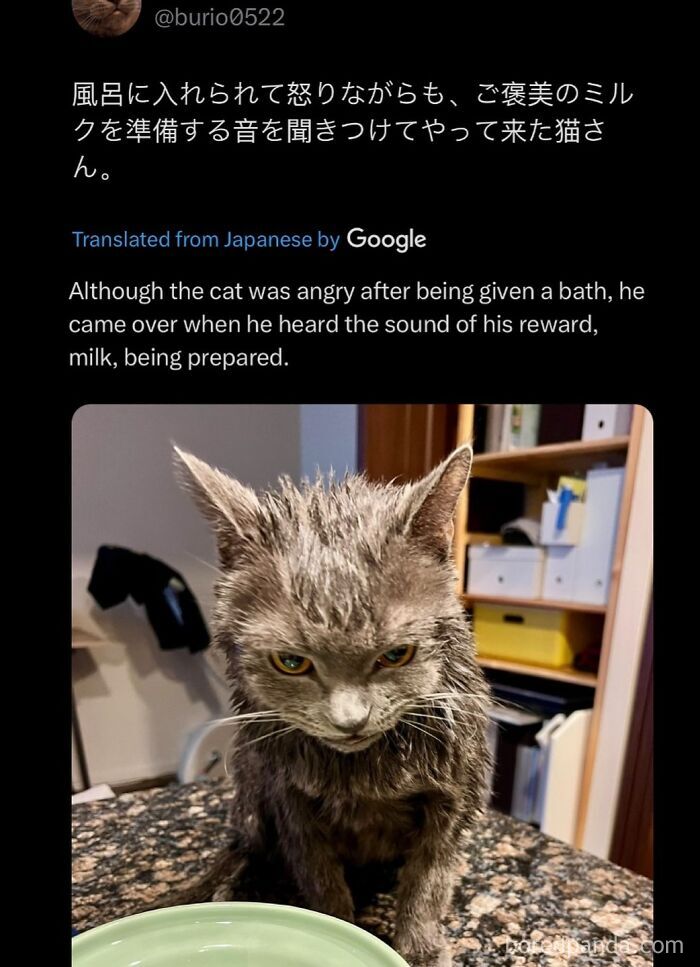 funny-out-of-context-posts