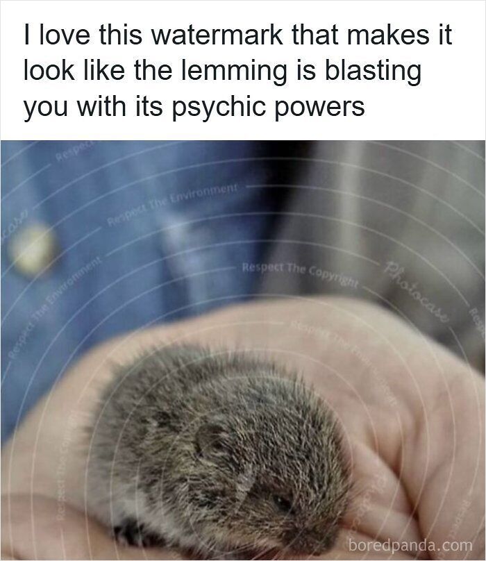 funny-out-of-context-posts